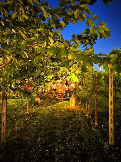 Cena in vigneto in una cascina dell’800 nell’entroterra del Lago di Garda 1